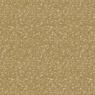 80 thumbnail
