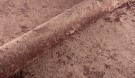 2141 thumbnail