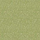 50 thumbnail