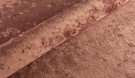2142 thumbnail