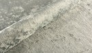2133 thumbnail