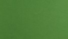 2842 thumbnail
