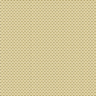 80