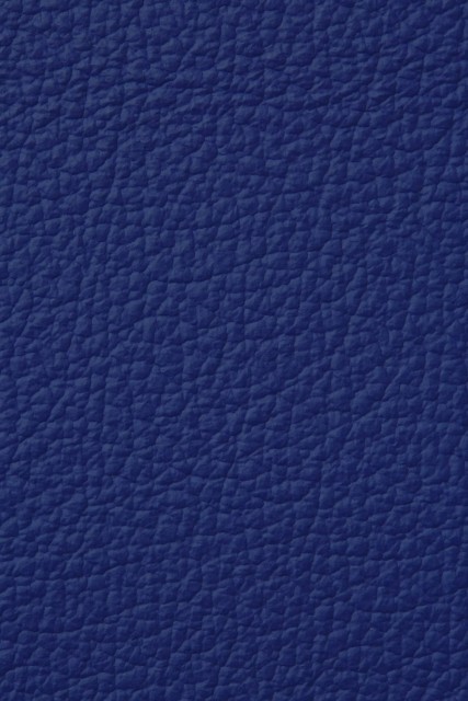 MDR80648
