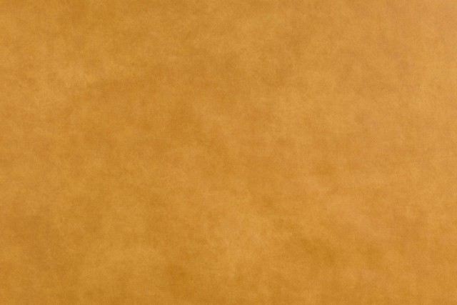 2101