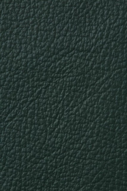 MDR7599