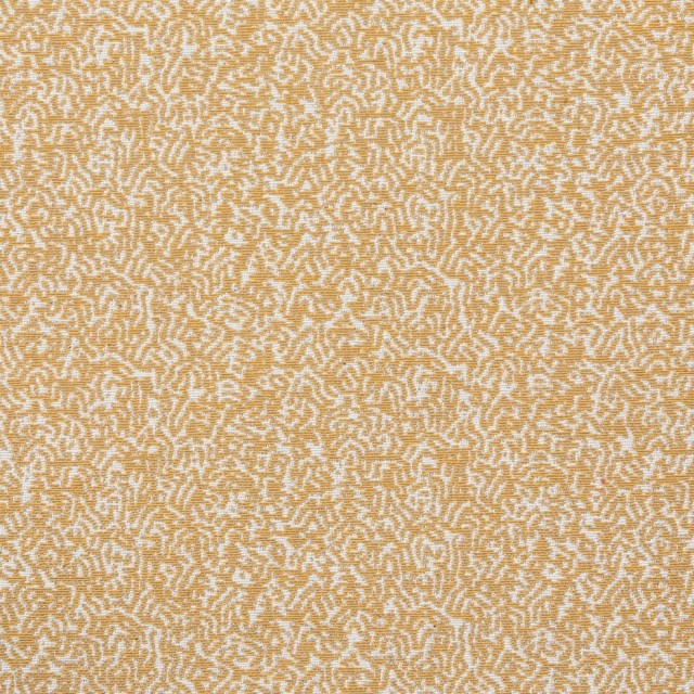 80