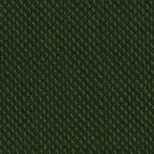3019