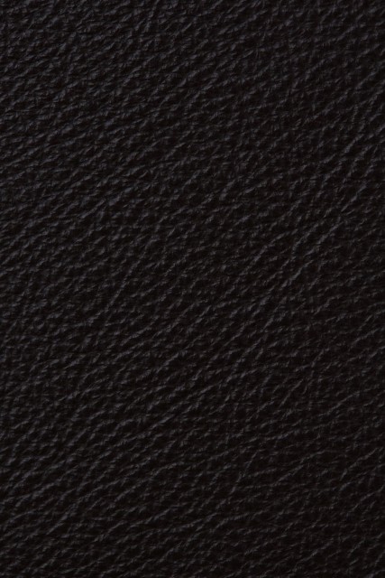 VIR32253