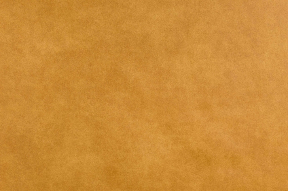 2101