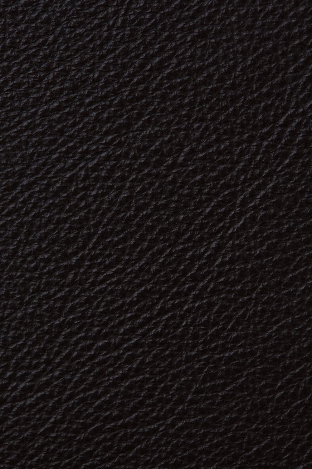 VIR32253