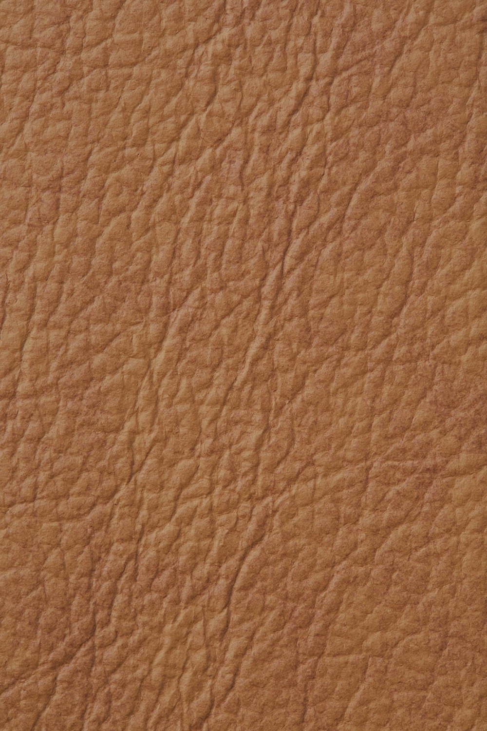 MON12340